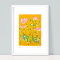 Image 1 of Pink Anemones