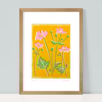 Image 2 of Pink Anemones