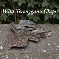 Wild Trengganu Chips