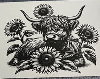 Image 2 of Sunflower Heifer