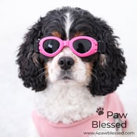 Image 1 of Gafas de Sol para Perros – Protección UV y Ajustables (Rosadas y Negras)