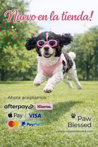 Image 3 of Gafas de Sol para Perros – Protección UV y Ajustables (Rosadas y Negras)