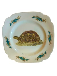 Giant Tortoise Plate