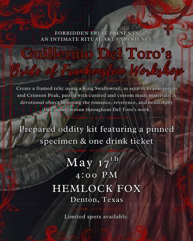 Bride Of Frankenstein Oddity Workshop