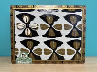 Image 1 of Abundant Flow KeepSacred Box