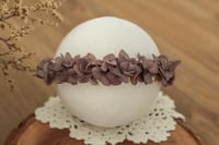 Newborn/Sitter Halo 258