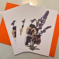 Pansies and Lavender Print