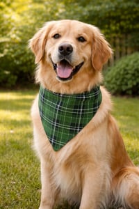 Image 2 of Pawsome Reversible Bandanas