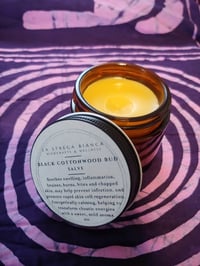 Image 1 of Black Cottonwood Bud Salve