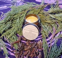Image 2 of Black Cottonwood Bud Salve