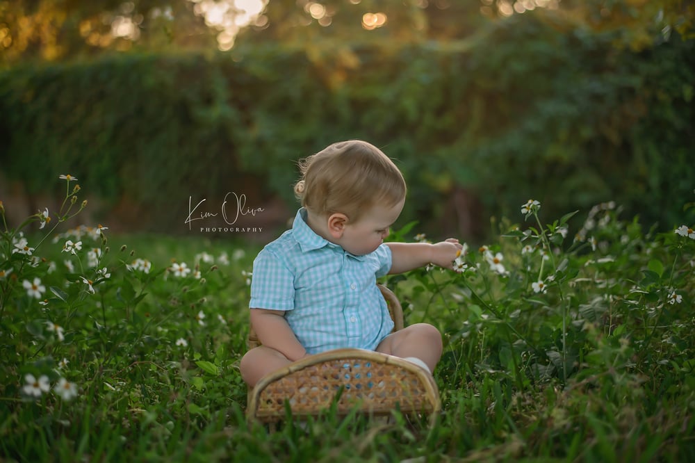 Image of Spring Minis