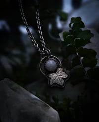 Image 4 of Ivy pendants 