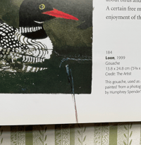 Image 3 of Mary Fedden by Christopher Andreae