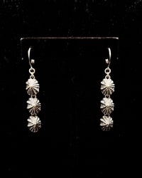 Triple Opihi 'Awa Earrings 