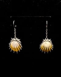 Spiked Sunrise Shell Earrings 