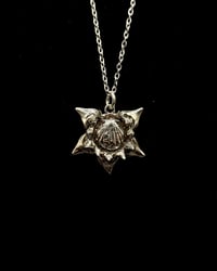 Sunrise Shell Shark Tooth Star Pendant 