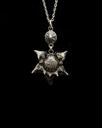 Sunrise Shell Shark Tooth Star + Opihi 'Awa Pendant