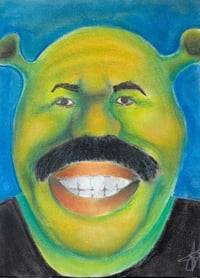 Shrek Harvey Prints 