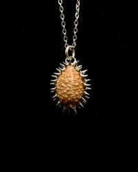 Image 1 of Spiked Granulated Cowrie Pendant no. 001