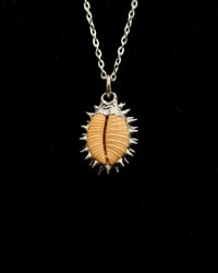 Image 2 of Spiked Granulated Cowrie Pendant no. 001