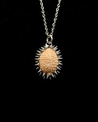 Image 1 of Spiked Granulated Cowrie Pendant no. 002