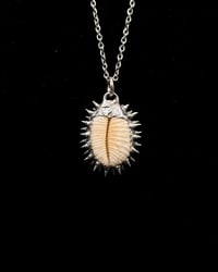Image 2 of Spiked Granulated Cowrie Pendant no. 002