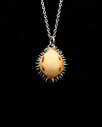 Image 1 of Spiked Checkered Cowrie Pendant no. 001