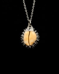 Image 2 of Spiked Checkered Cowrie Pendant no. 001