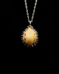 Image 1 of Spiked Checkered Cowrie Pendant no. 003