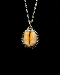 Image 2 of Spiked Checkered Cowrie Pendant no. 003