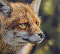 Image 1 of Sarah Eden "Focus"