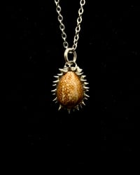 Image 1 of Spiked Hawaiian Snakehead Cowrie Pendant no. 001