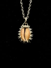 Image 2 of Spiked Hawaiian Snakehead Cowrie Pendant no. 001