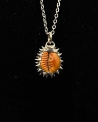 Image 2 of Spiked Hawaiian Honey Cowrie Pendant no. 001