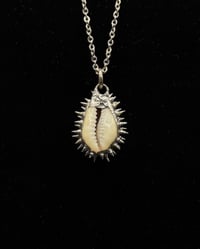 Image 2 of Spiked Money Cowrie Pendant no. 001