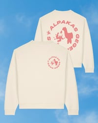 Image 1 of Alpaka Spring Sweater