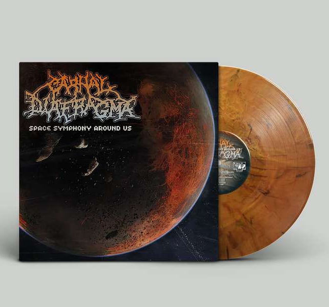 Image of 12" LP / Space Symphony Around Us (Orange/Black Marbled) 