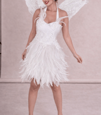 Image 1 of White Fairy Costume – Handmade Luxury Adult Fairy Outfit with Wings & Crown 