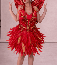 Image 1 of Red Fire Fairy Costume – Handmade Luxury Adult Fairy Outfit with Wings & Crown