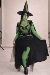 Image 1 of Wicked Witch Costume
