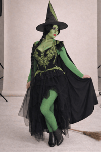 Image 2 of Wicked Witch Costume