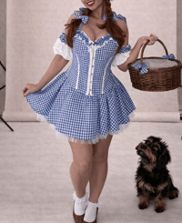 Image 1 of Blue Gingham Country Dream Costume Set – Handmade Boutique Costume 