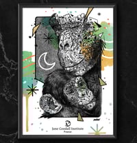 Image 1 of CHIMPANZEE FAMILY x JANE GOODALL