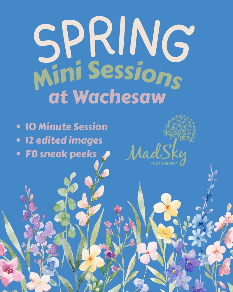 Image of DEPOSIT FOR A SPRING MINI SESSION AT WACHESAW PLANTATION