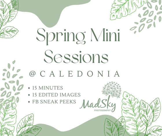 Image of DEPOSIT FOR A MINI SESSION AT CALEDONIA GOLF & FISH CLUB