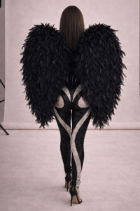 Image 2 of Crystal Spiral Mesh Catsuit, Gloves and Wings Set