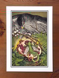 Image 1 of Goshawk · Riso Print