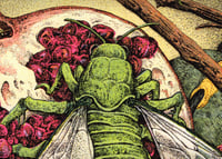 Image 5 of Goshawk · Riso Print