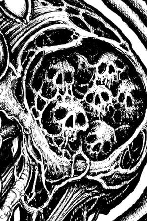 Image of FRANDRIES X AGONY - WISDOM