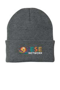 Image 1 of ROE 9 IESE Embroidered Beanie